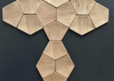 płytki 3d z drewna Artis Visio