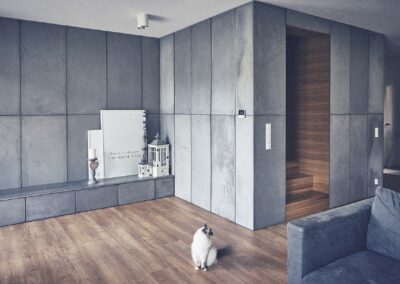 Salon mieszkania w aranżacji z betonem