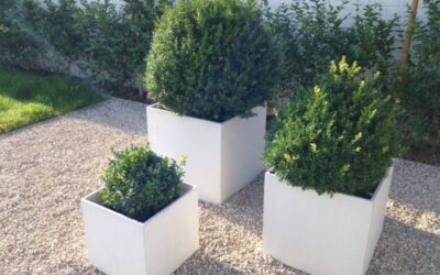 Donice z betonu architektonicznego Biała – udekoruj swoją przestrzeń